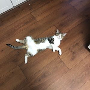 Meet your Posher, Nathaniel